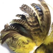 Chinchilla Full Coque Yellow Feathers 14-18cm Long x 5cm